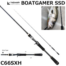 テイルウォーク(tailwalk) ボートゲーマー SSD C66SXH
