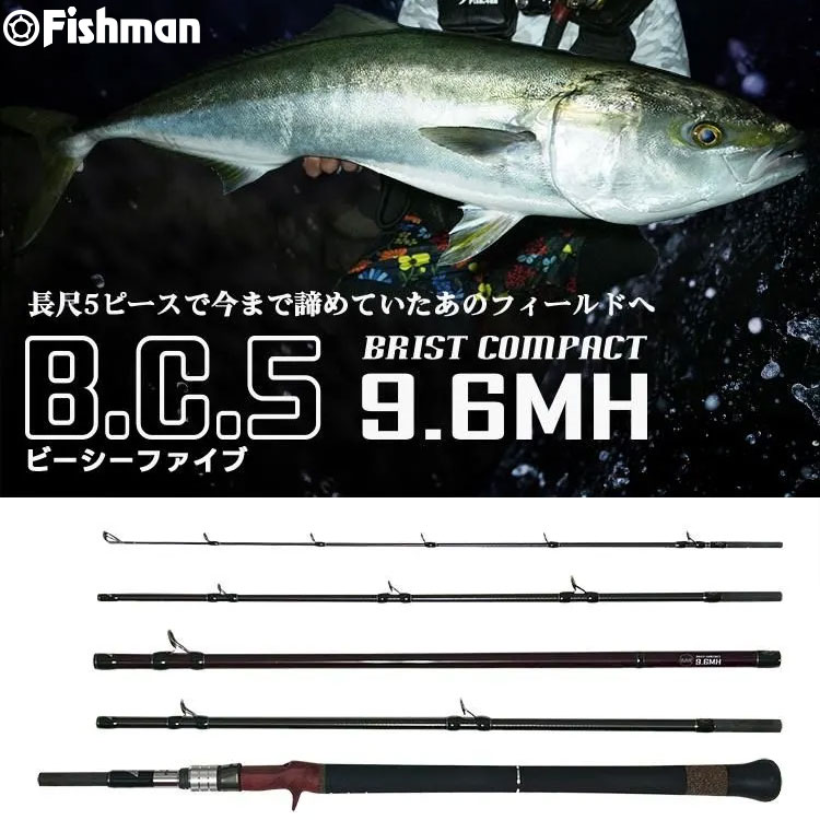 フィッシュマン(Fishman) ビーシーファイブ(BC5) 9.6MH