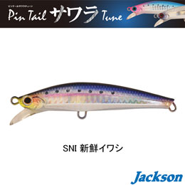 ジャクソン(Jackson) ピンテールサワラチューン 35g SNI 新鮮イワシ