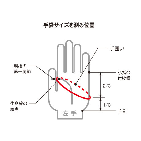 リバレイ(ソウシン) 8816 RBB フレックスグローブ3C ネイビー LL ★特別価格 rbb_globe_size.jpg
